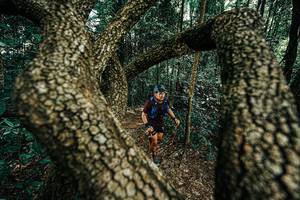 BIB: 
                            <button type="button" onclick="openModal(25392685)" class="btn btn-primary btn-sm float-right btn-popup" data-toggle="modal" data-target=".modal-high-quality">
                        <i class="fas fa-shopping-cart"></i> Add to Cart
                    </button>
                                            <button type="button" onclick="isThisMe(25392685, true)" class="btn btn-success btn-sm float-right btn-popup btn-isme hidden" data-toggle="tooltip" data-placement="bottom" title="นี่คือรูปของคุณใช่ไหม คลิกที่นี่เพื่อเอาเข้าอัลบั้ม">
                        <i class="fas fa-plus"></i> Add to album
                    </button>
                    <button type="button" onclick="isThisMe(25392685, false)" class="btn btn-warning btn-sm float-right btn-popup btn-isnotme hidden">
                        <i class="fas fa-ban"></i> Remove from album
                    </button>